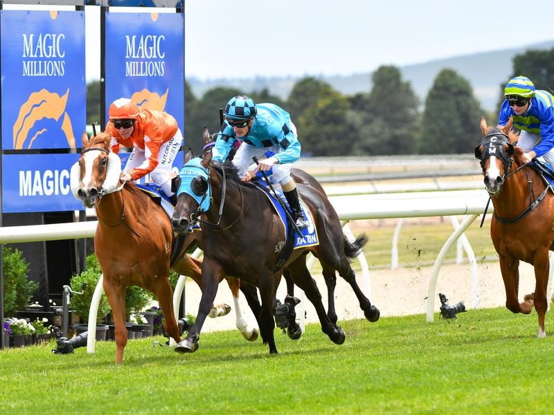 Ballarat Clockwise | Just Horse Racing
