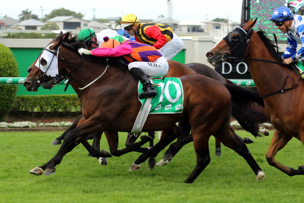 CHAPTER AND VERSE062A2328 | Just Horse Racing