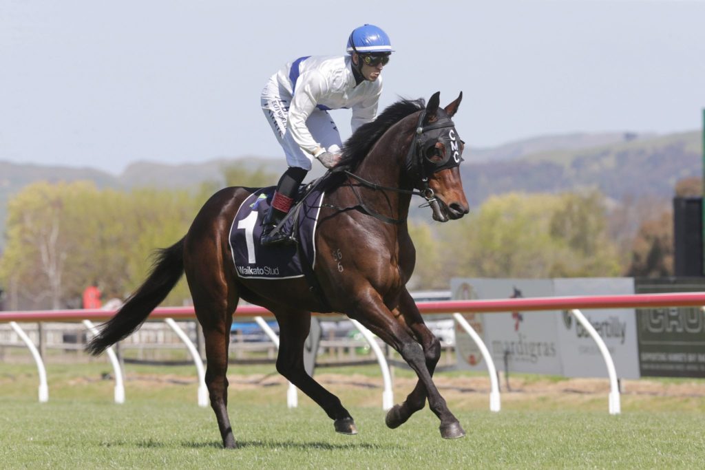 Catalyst | Just Horse Racing