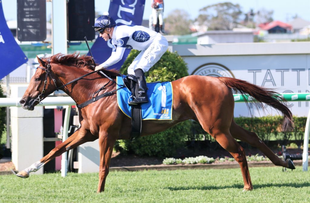Constant Flight (3) | Just Horse Racing
