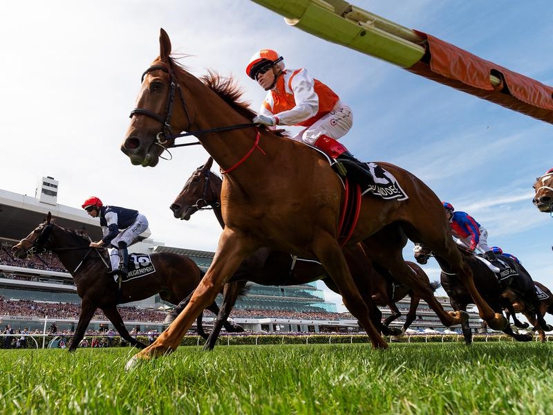 Cup Wrap | Just Horse Racing