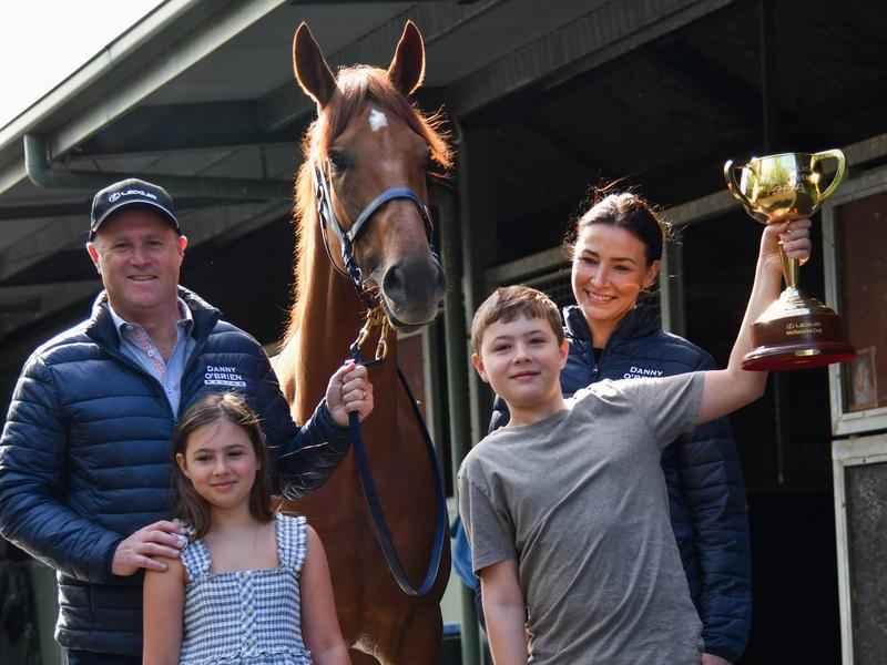 Cup Crowd | Just Horse Racing