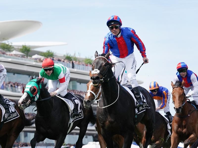 Cup Fellowes | Just Horse Racing