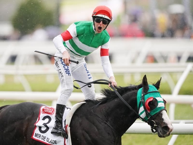 Cup Lane | Just Horse Racing