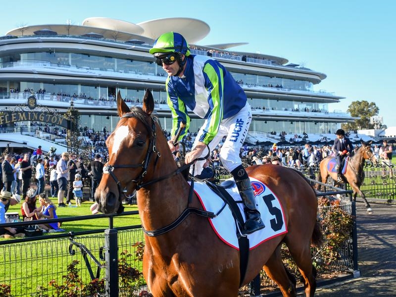Cup Rostropovich | Just Horse Racing