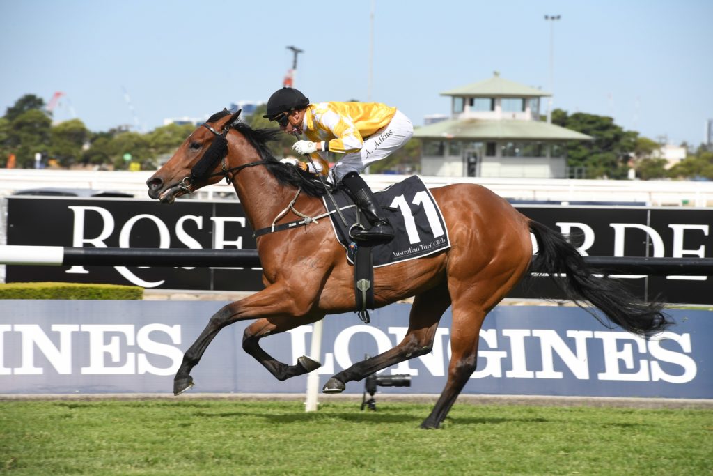 Dame Giselle 091119 9764 | Just Horse Racing