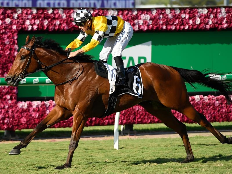Doomben | Just Horse Racing