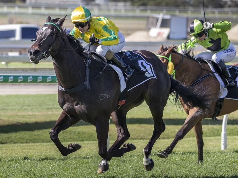 Doomben Epic | Just Horse Racing