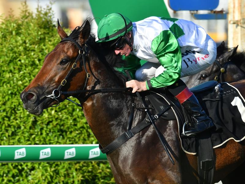 Doomben Preview | Just Horse Racing