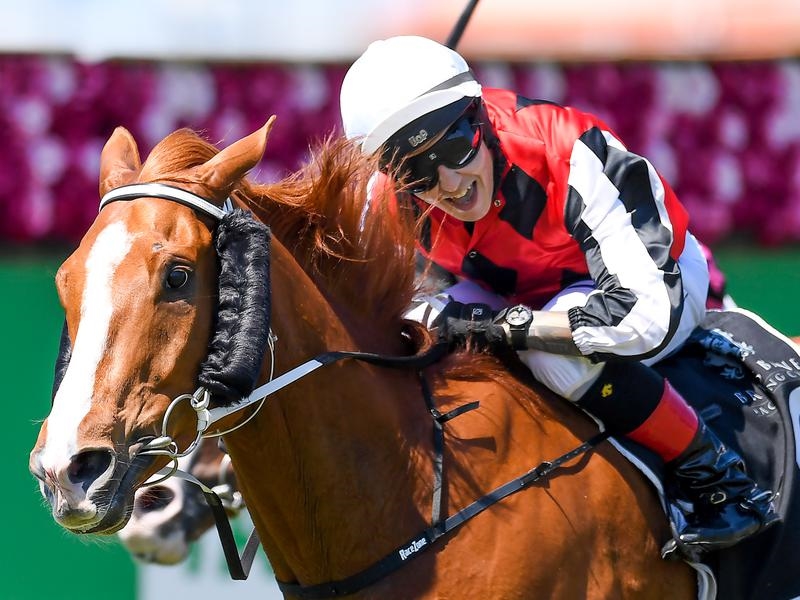 Doomben Teo | Just Horse Racing
