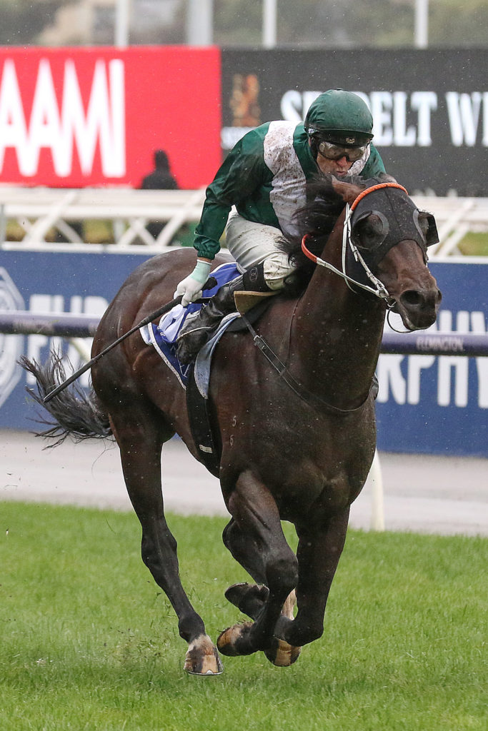 Exceedance,Coolmore Stud Stakes,Group 1_02-11-2019_WIN_Flemington_6__1187 | Just Horse Racing