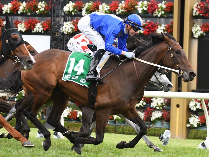 Flemington Oceanex | Just Horse Racing