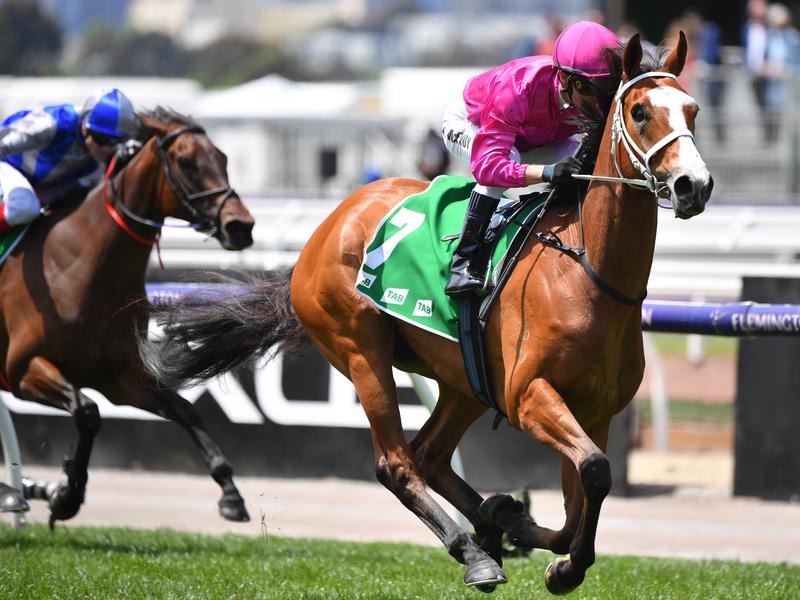 Flemington Sure | Just Horse Racing