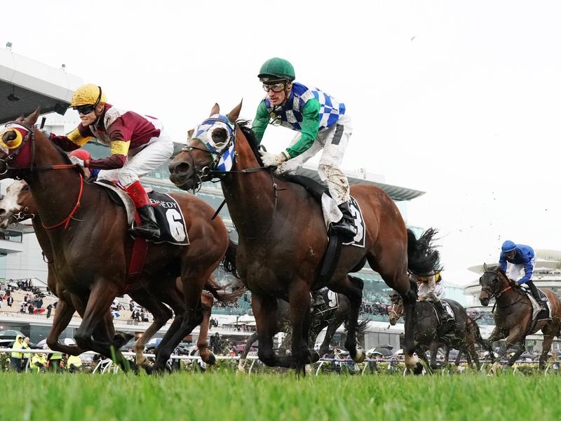 Gallops Ballarat | Just Horse Racing