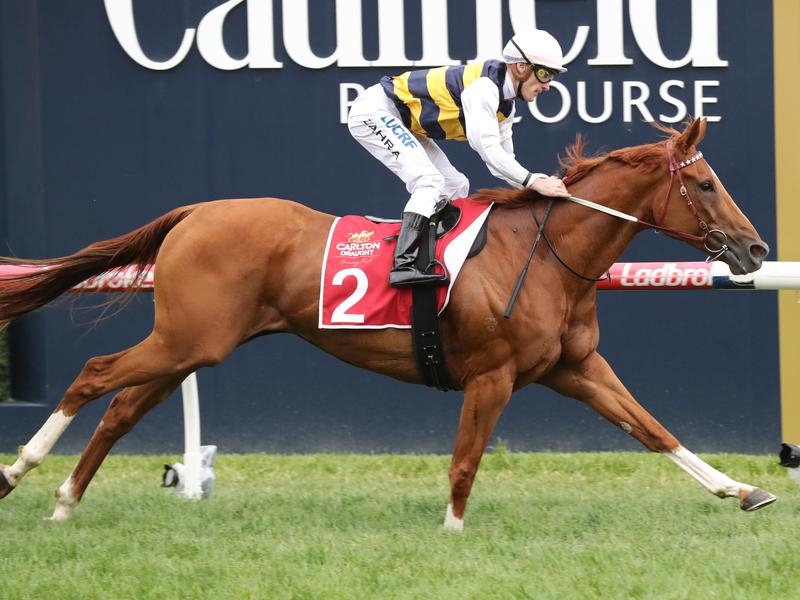Gallops Perth | Just Horse Racing