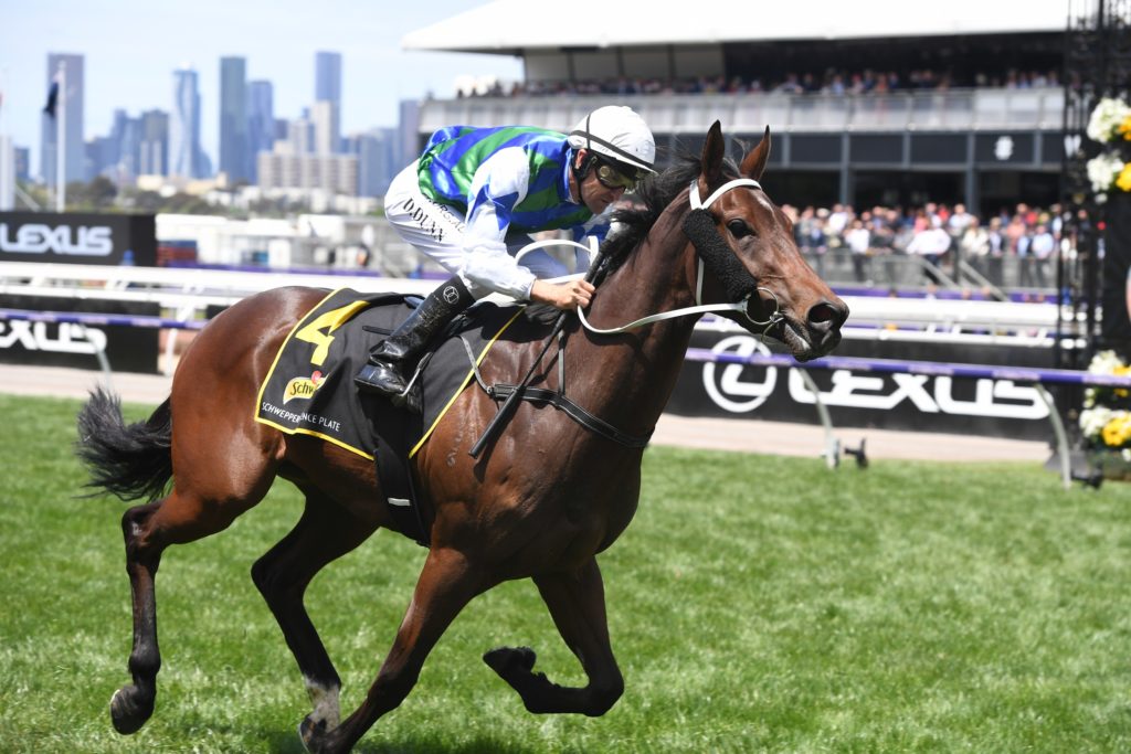 Garner 05112019 8231 | Just Horse Racing