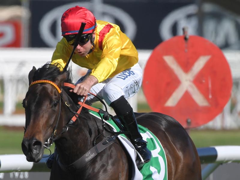 Golden Eagle Preview | Just Horse Racing