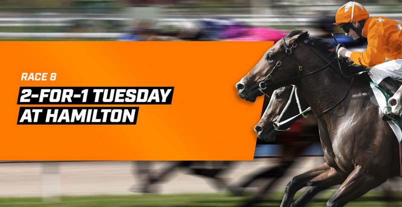 Hamilton_2_For_1 | Just Horse Racing