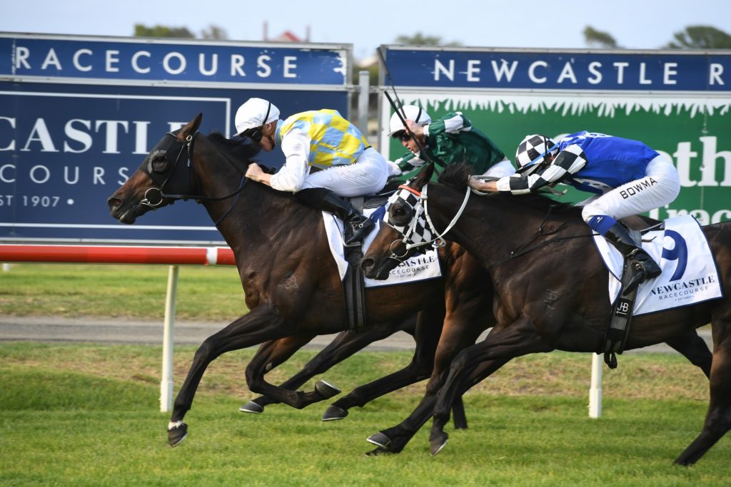 Into The Abyss 16112019 1191 | Just Horse Racing