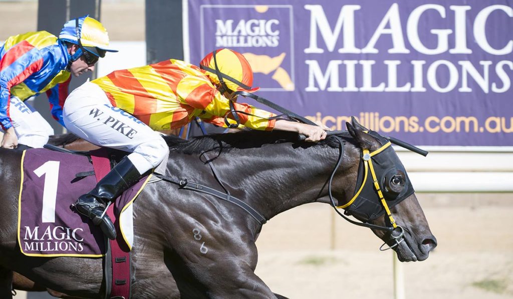 JERICHO MISSILE | Just Horse Racing