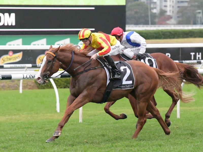 Kembla Grange Newnham | Just Horse Racing
