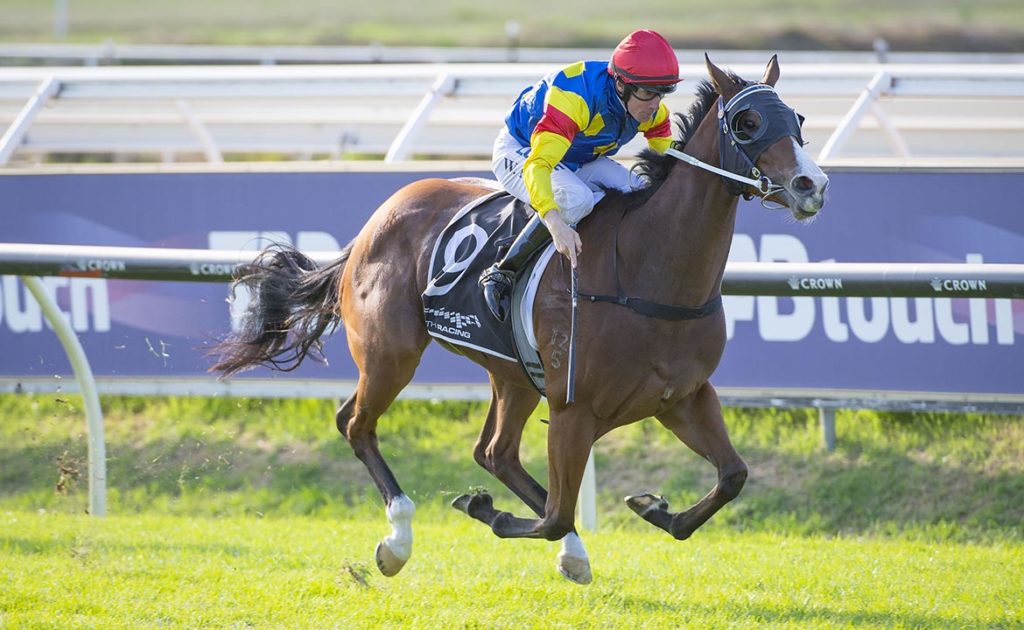 MARKET RULER | Just Horse Racing