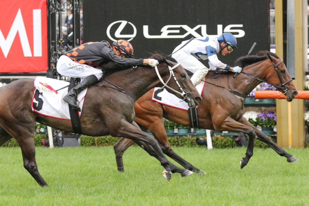 Miami Bound,Wakeful Stakes,Group 2_02-11-2019_WIN_Flemington_2__187 | Just Horse Racing