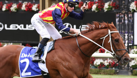 Just Horse Racing - Australian News, Tips & Betting