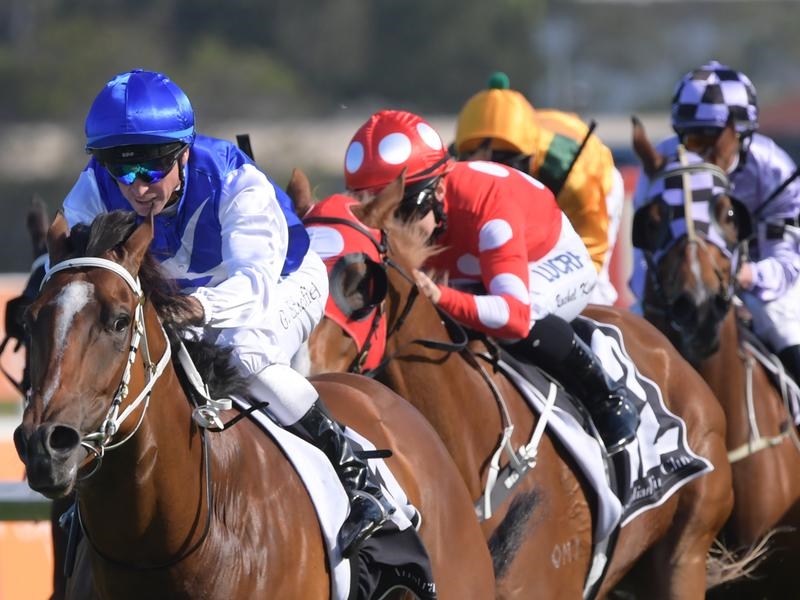 Newcastle | Just Horse Racing
