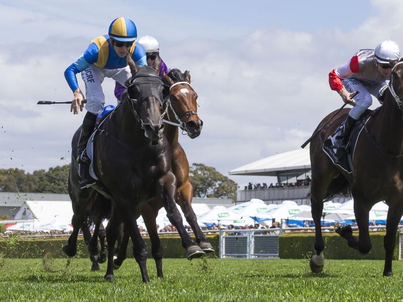 Newcastle Baker | Just Horse Racing