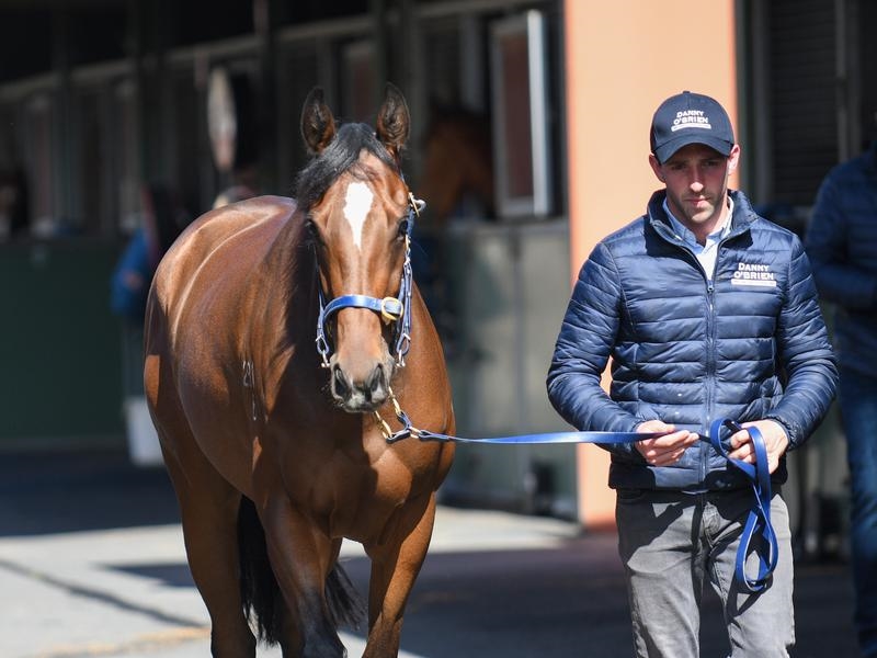 Oaks Preview | Just Horse Racing