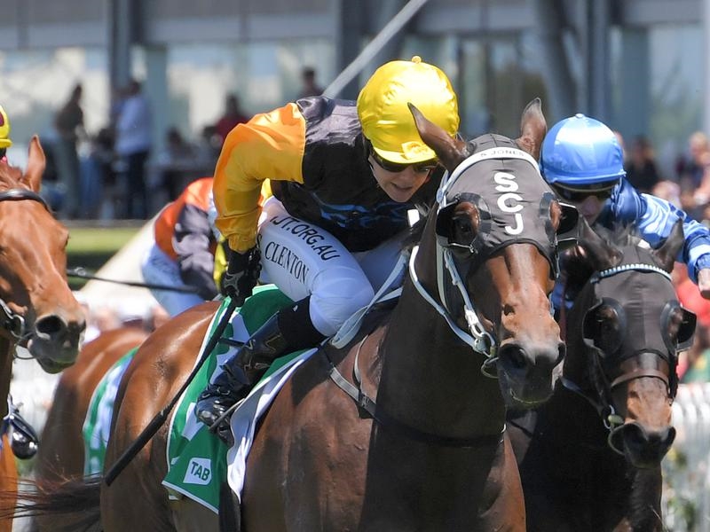 Randwick Highway | Just Horse Racing