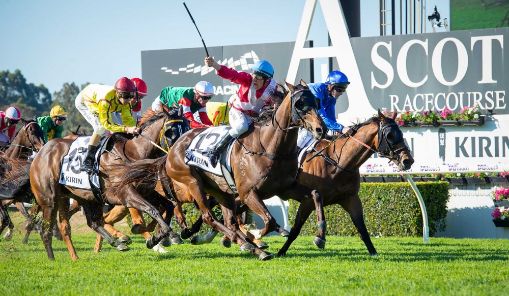 Regal Power | Just Horse Racing