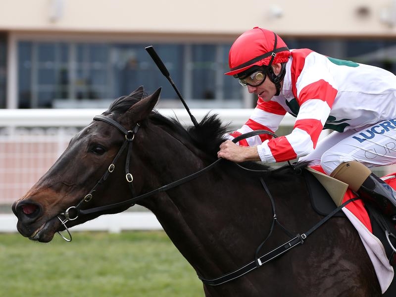 Sandown | Just Horse Racing