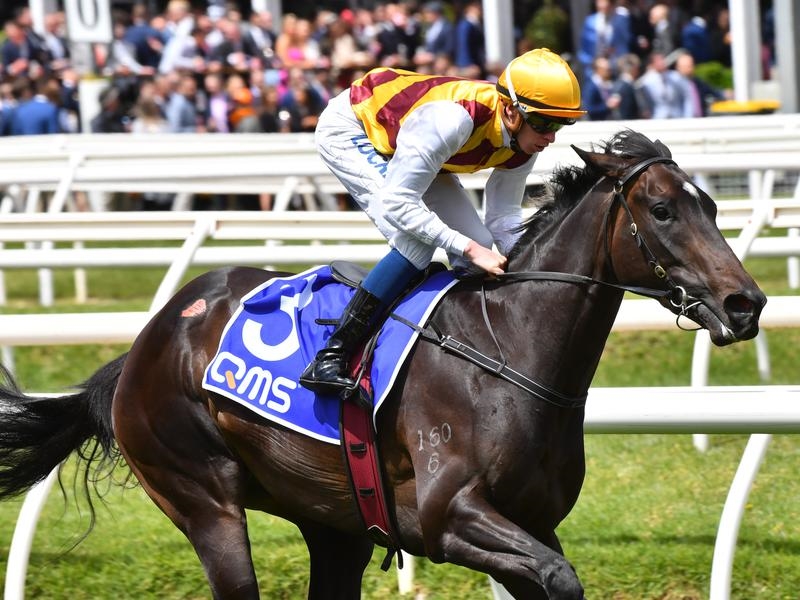Sandown Guineas | Just Horse Racing