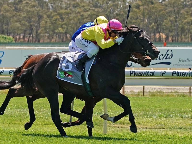 Sandown Twilight | Just Horse Racing