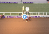Vino Rosso wins Breeders' Cup Classic