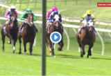 Watch: Black Caviar's son beaten odds on favourite