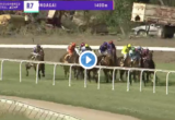 Snake Gully Cup results and replay - 2019