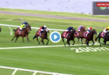 Sandown Guineas results and replay - 2019