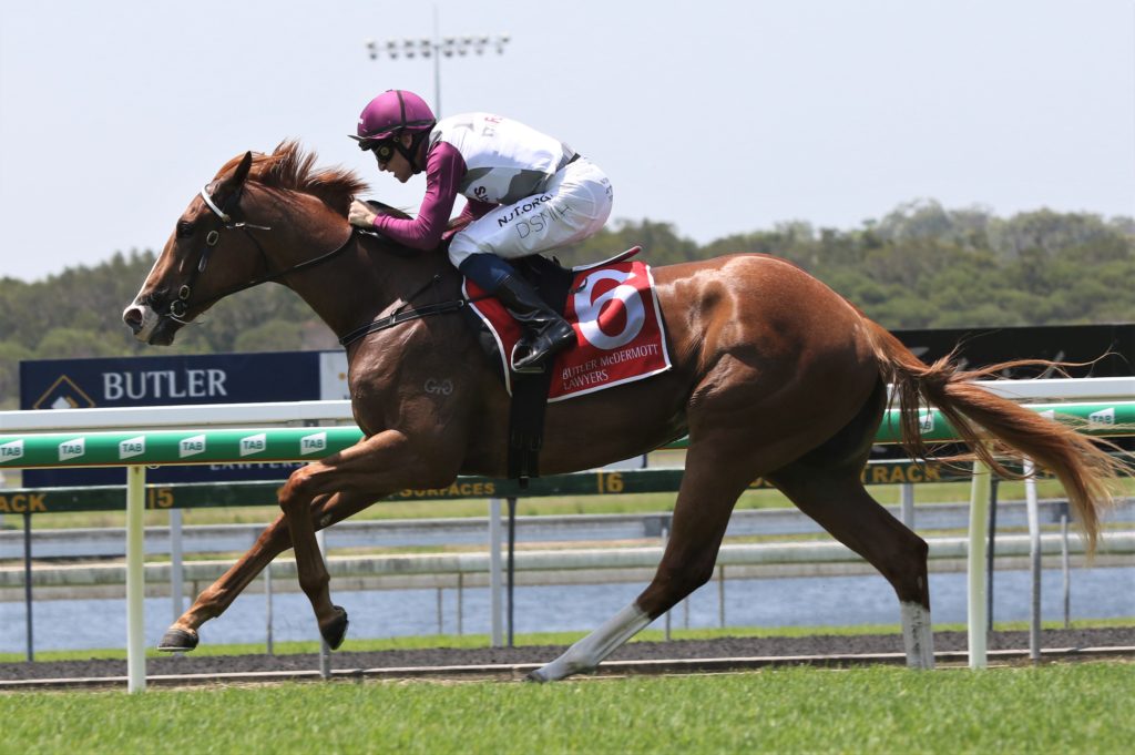 Sunshine Coast race 1 Dusty Tycoon | Just Horse Racing