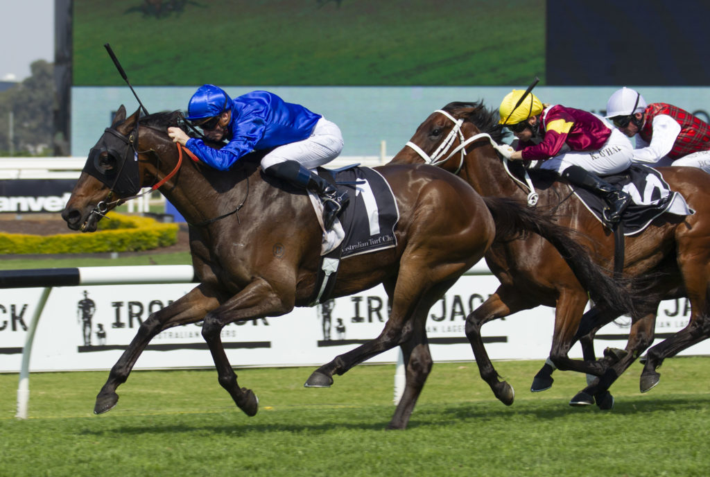 Tally-20191102-4396 | Just Horse Racing