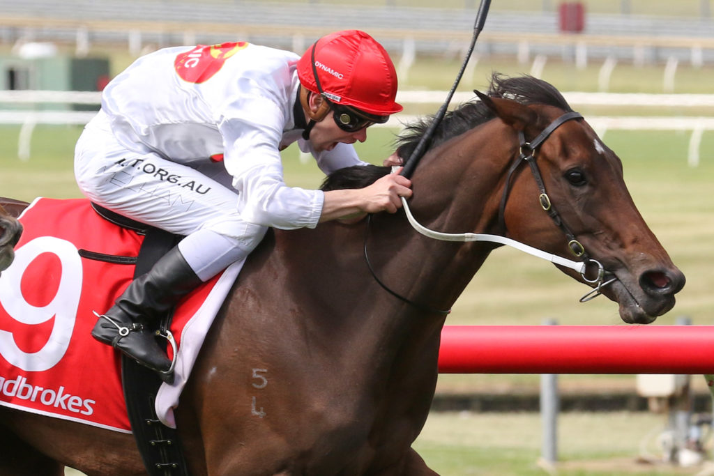 Teleplay,Kevin Heffernan Stakes,Group 3_16-11-2019_WIN_Sandown_6__1124 | Just Horse Racing