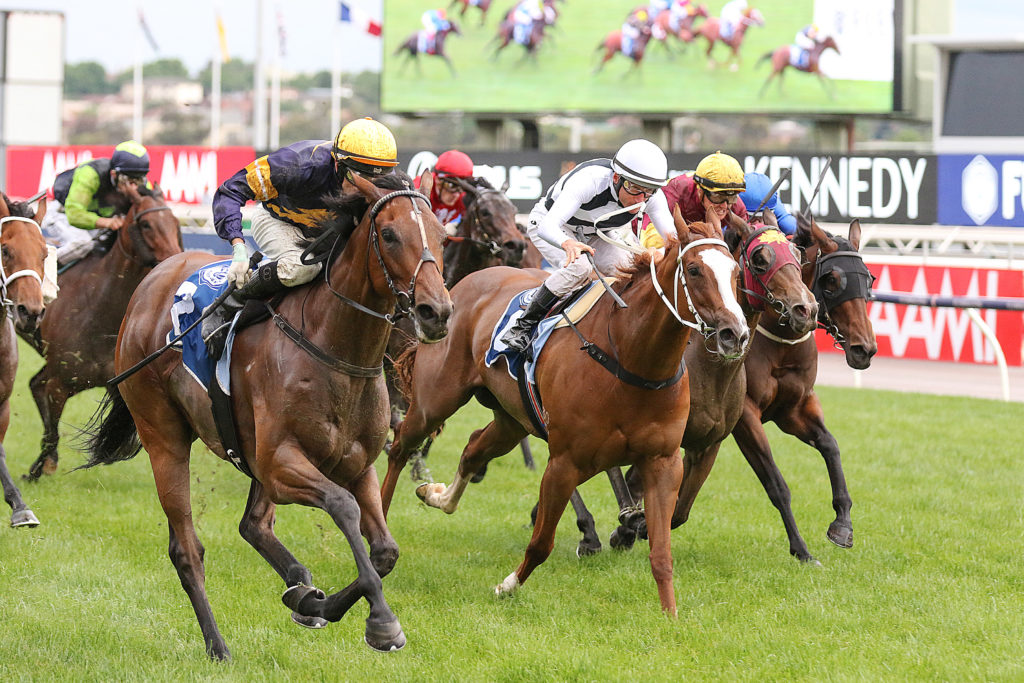 Tofane,Begonia Belle Stakes,Group 3_02-11-2019_WIN_Flemington_9__2120 | Just Horse Racing