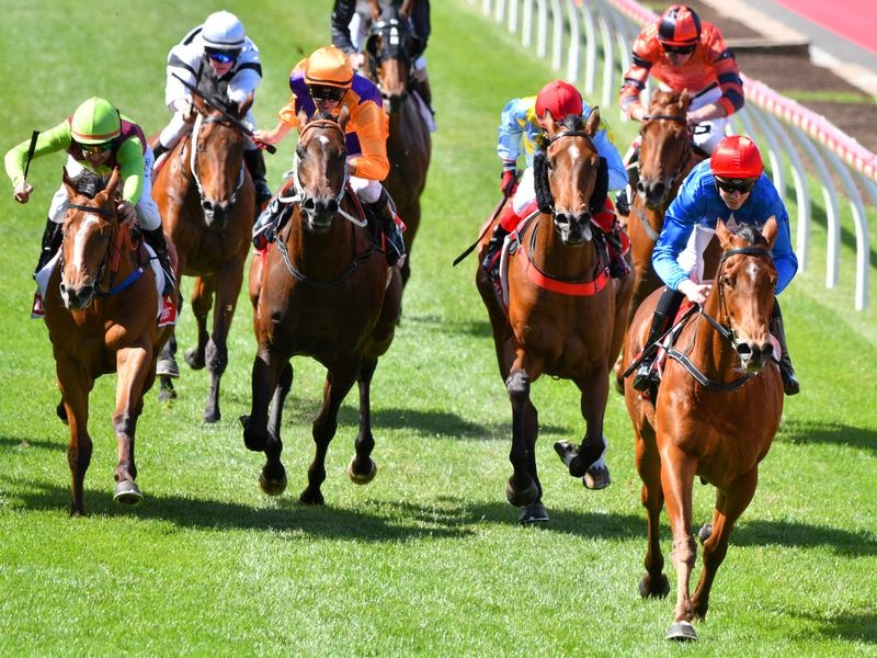 Valley Rubisaki | Just Horse Racing