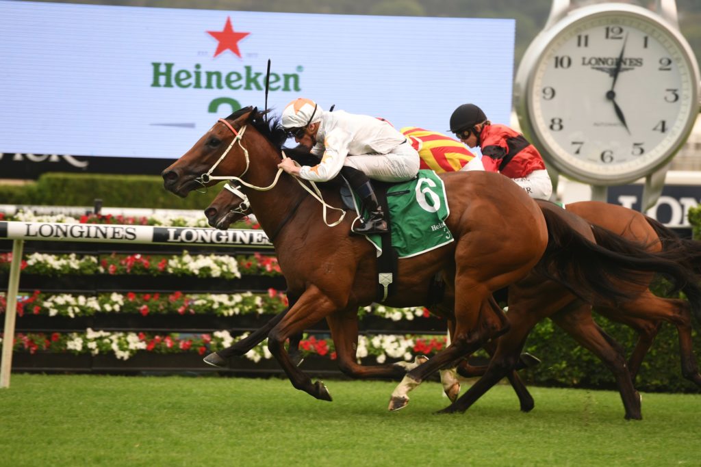 Asharani 21122019 9728 | Just Horse Racing