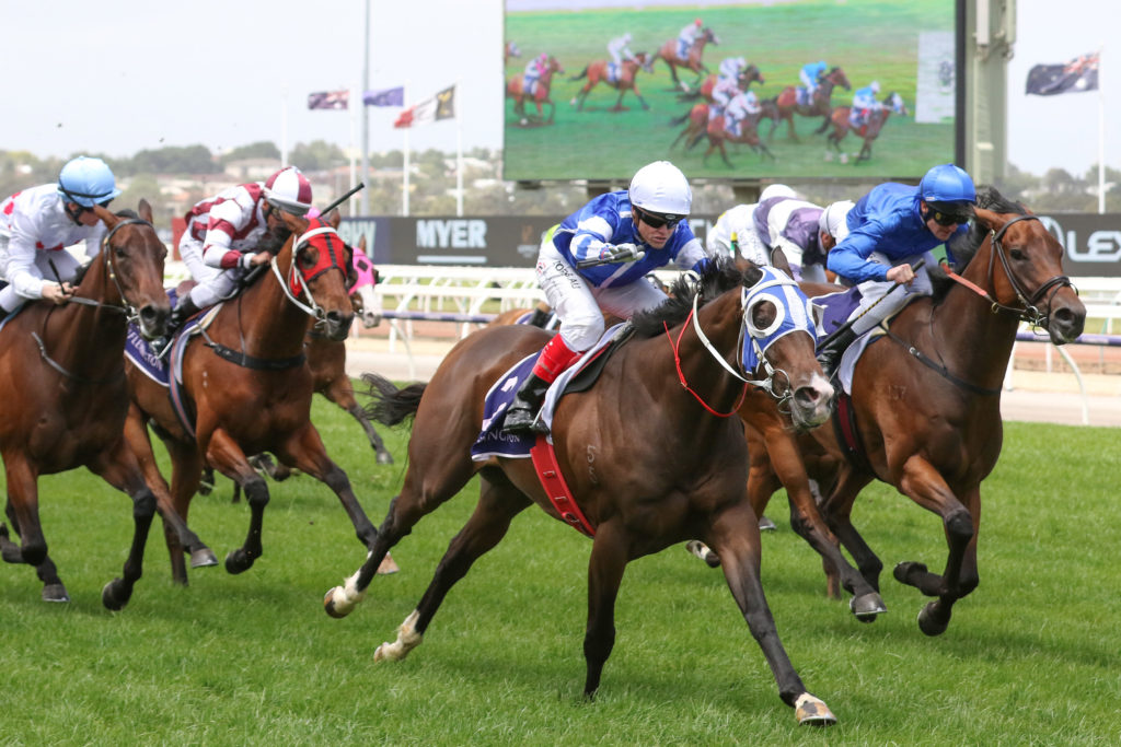 Bold Star_21-12-2019_WIN_Flemington_3__402 | Just Horse Racing