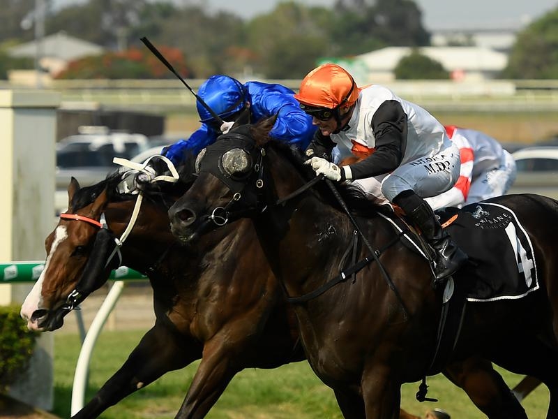 Brisbane Schweida | Just Horse Racing