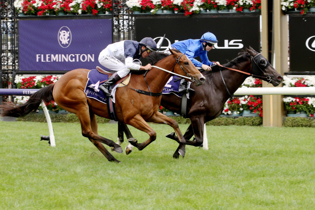 Conceited-20191214-6673 | Just Horse Racing