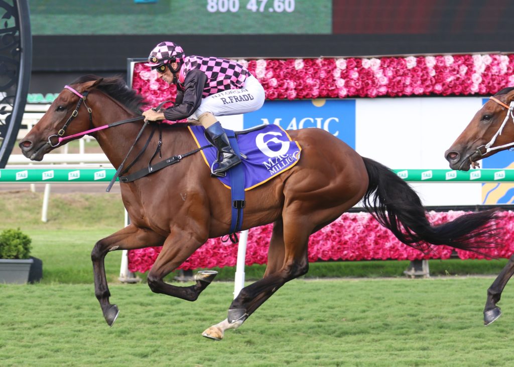 Deep Image (3) | Just Horse Racing